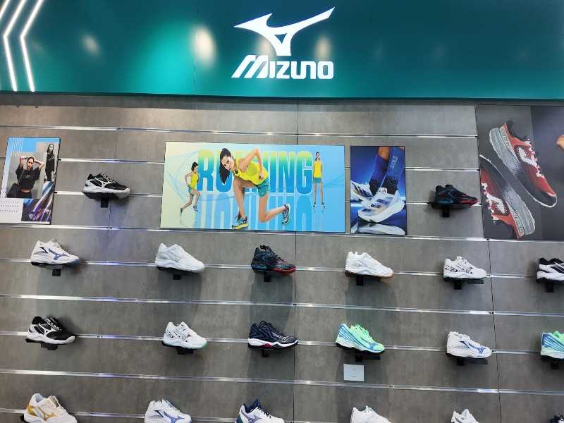 Green Holding Sports tự hào là bệ phóng vững chắc cho các nhà sản xuất, nhà nhập khẩu