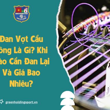 Cách Chọn Vợt Cầu Lông Phù Hợp Cho Từng Trình Độ [2026]