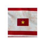 Áo T-Shirt ĐTT 2526 Rise Beyond Việt Nam